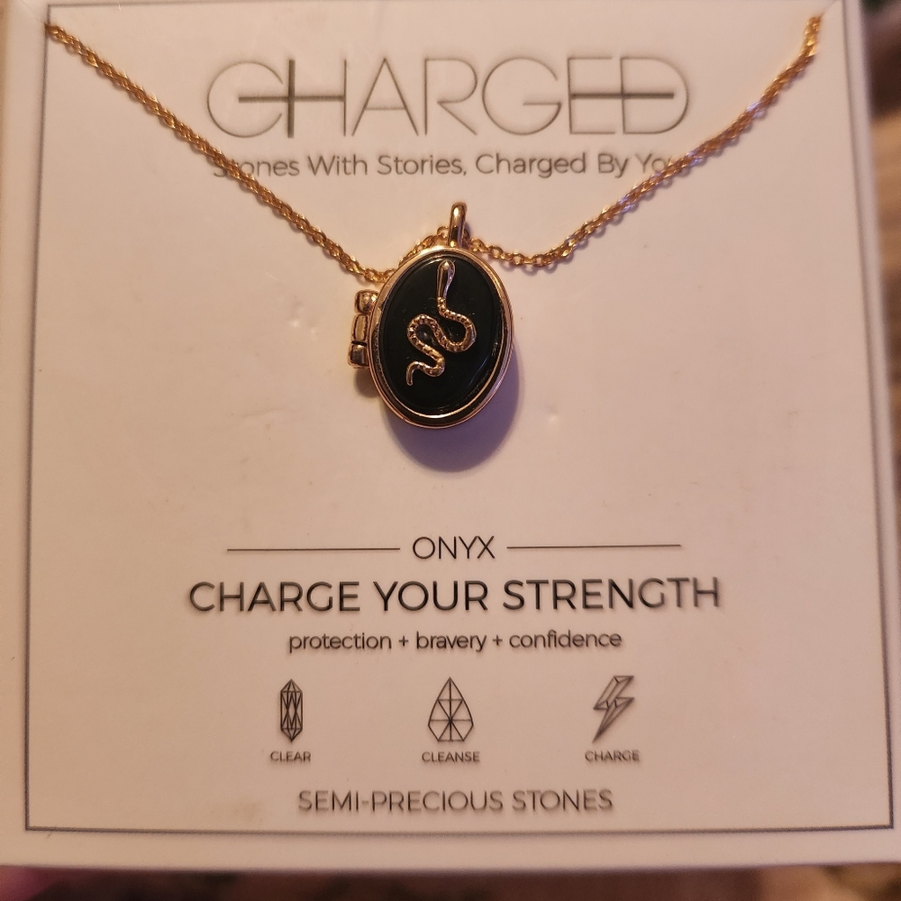 Onyx locket with snake